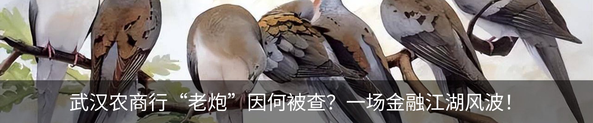 行业资讯